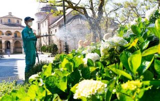 Sun World Ba Na Hills nâng cấp sản phẩm, dịch vụ quy mô lớn